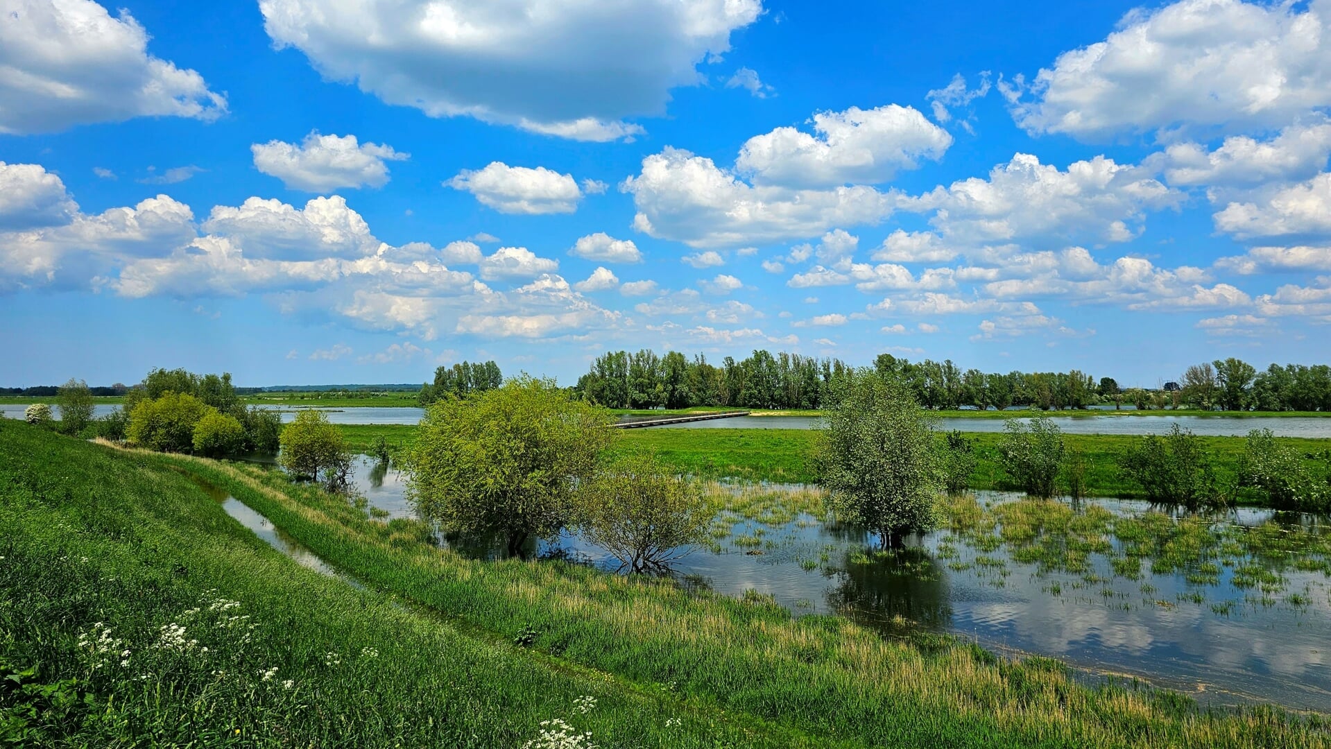 Toeristisch Informatie Punt In Druten DeMaasenWaler