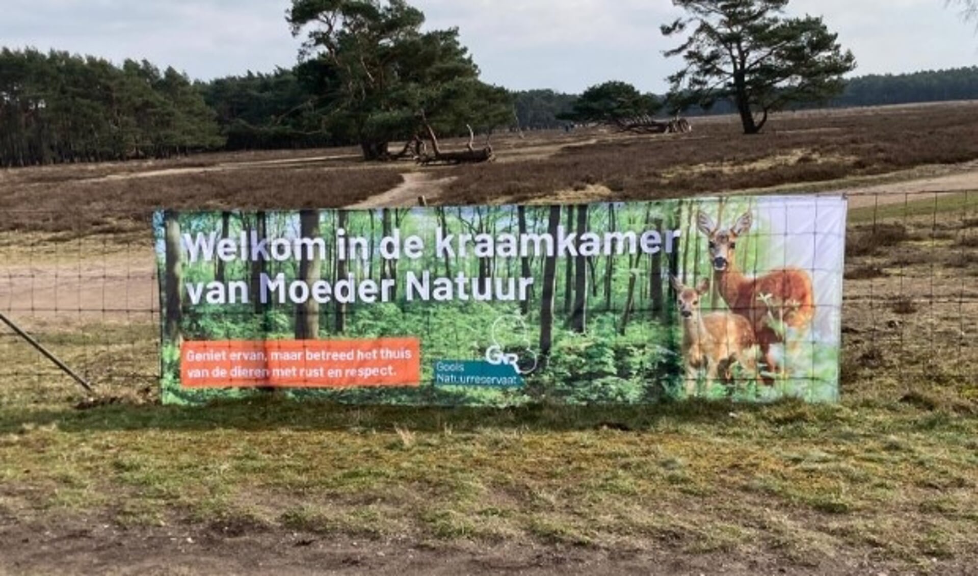 Broedseizoen Verlangt Rust In De Kraamkamer Van Moeder Natuur