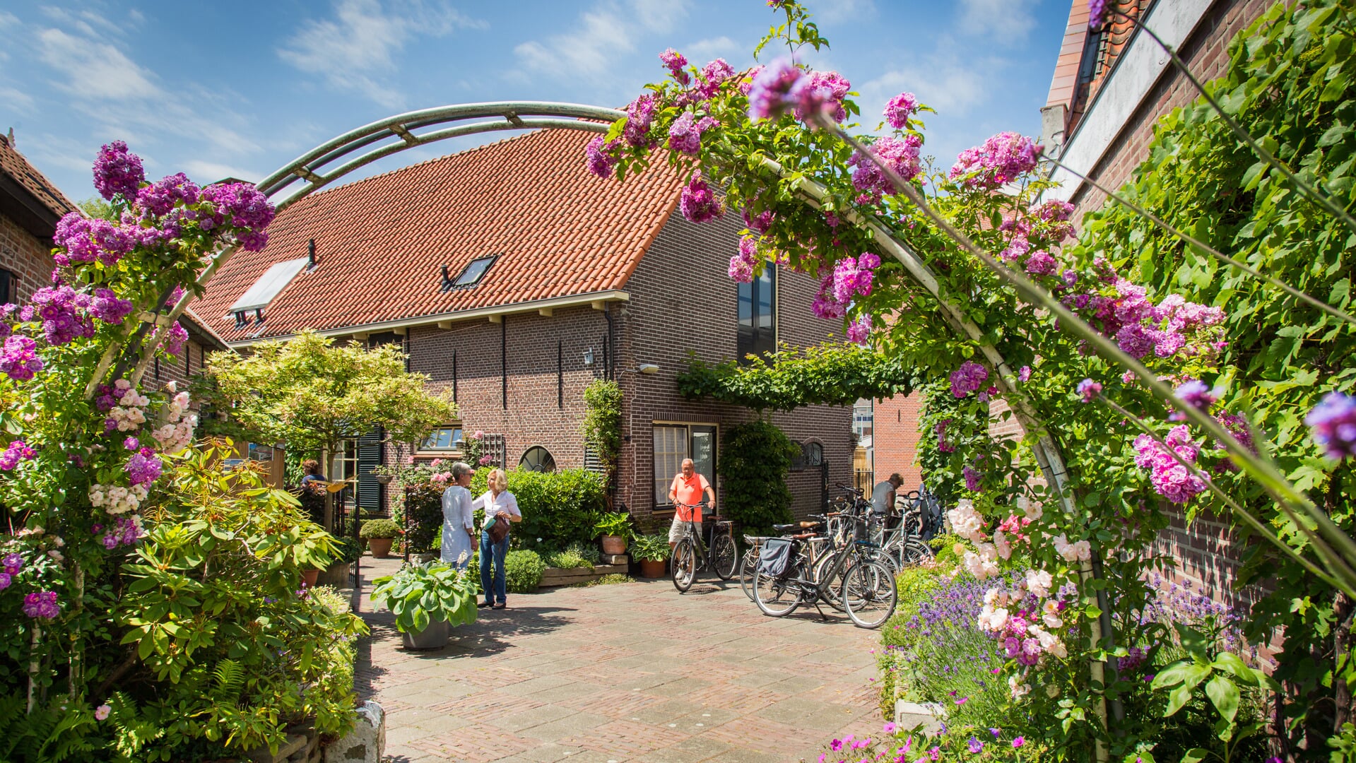 Open Tuinen Dag In Rijnsburg Katwijk En Valkenburg Al Het Nieuws Uit