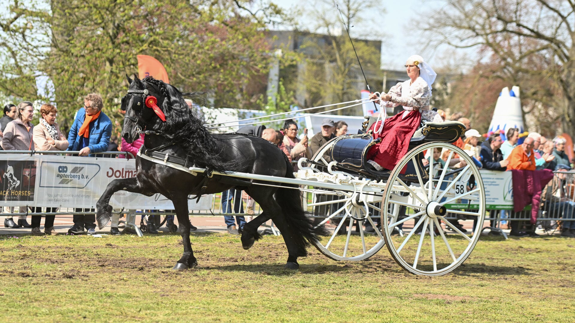 Oranjeconcours De Bilt Op Koningsdag Al Het Nieuws Uit De Bilt