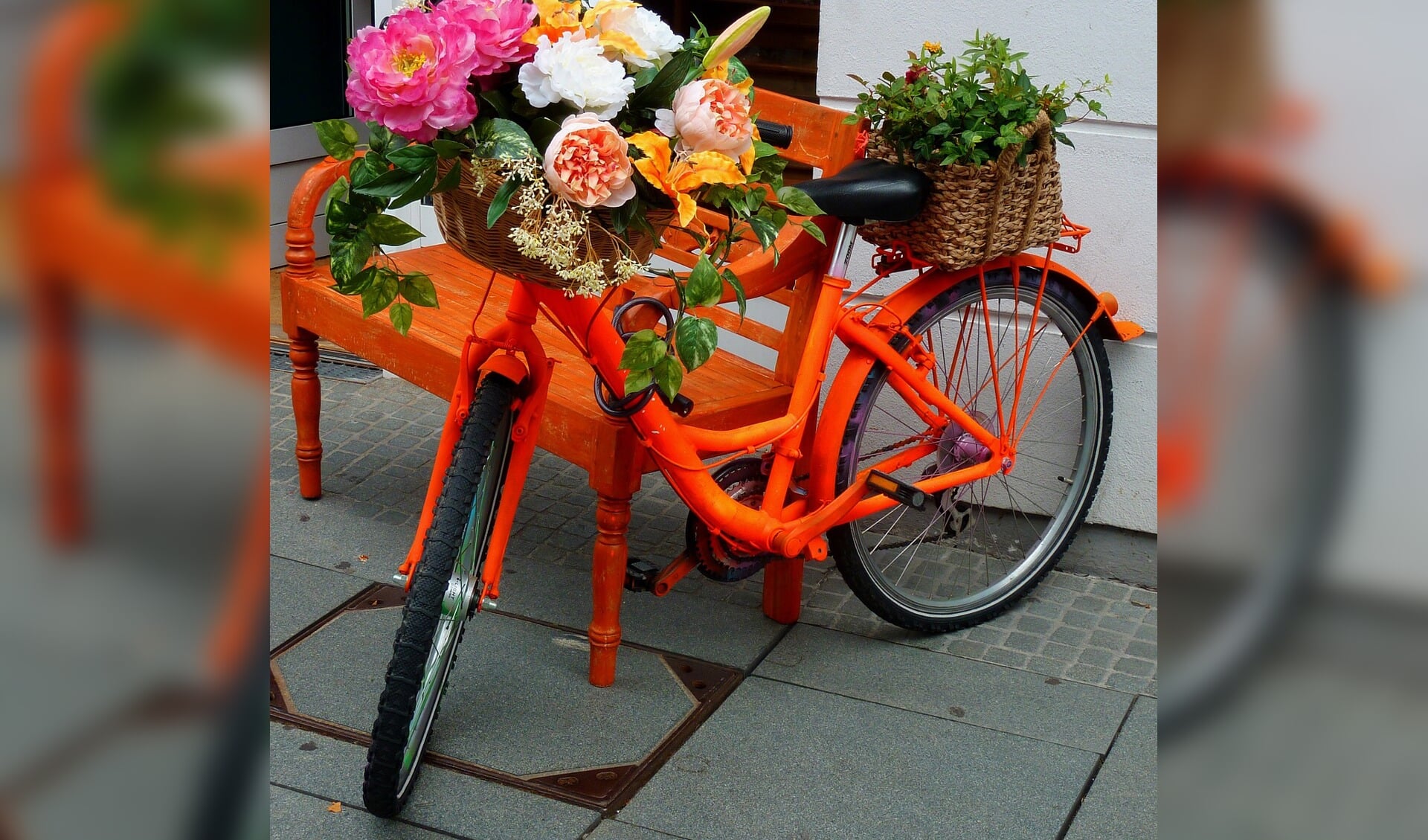 Koningsdag In Gemeente De Bilt Al Het Nieuws Uit De Bilt