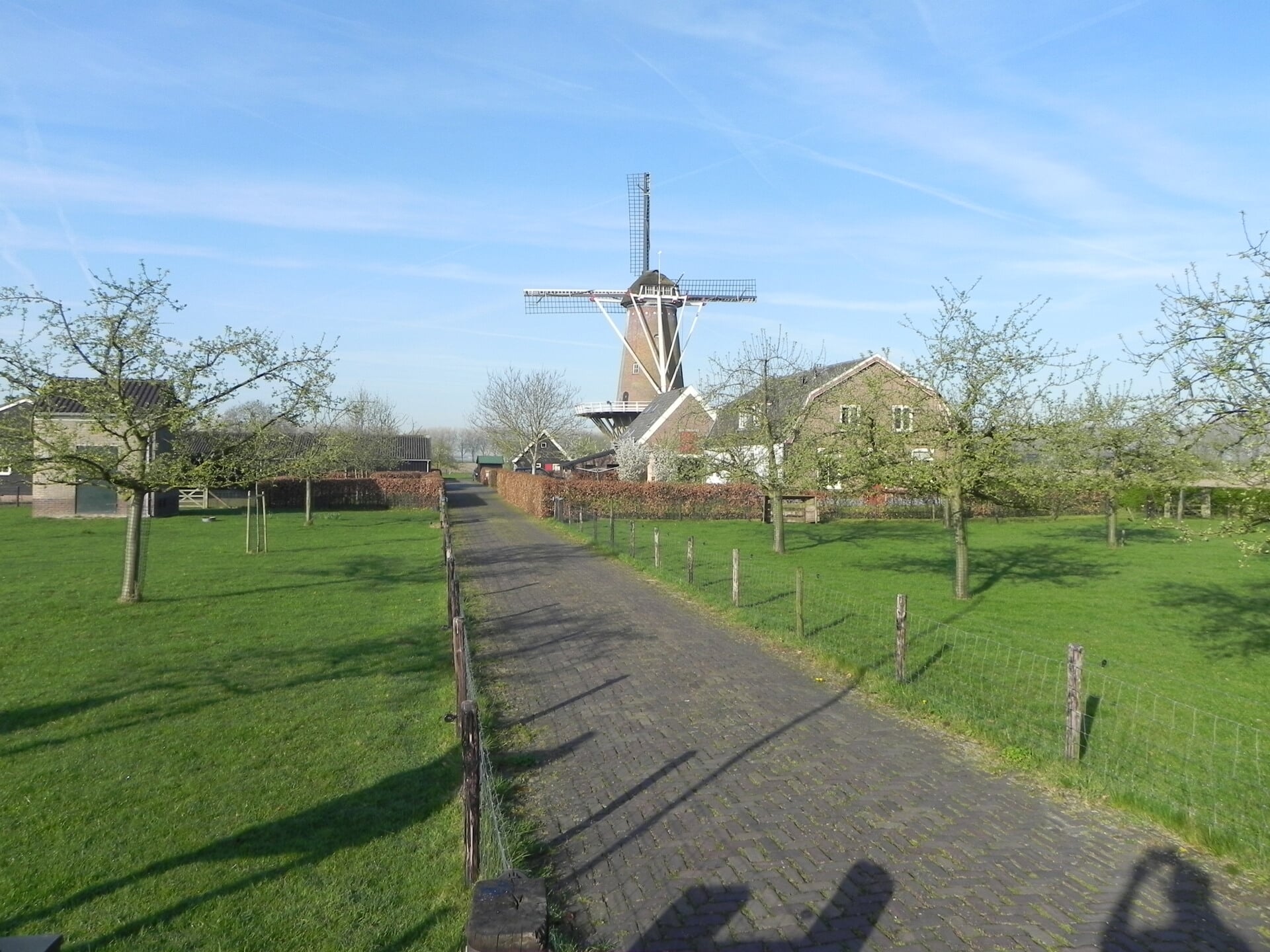 Nationale Molendagen Ook Korenmolen Rijn Weert In Werkhoven Is Open