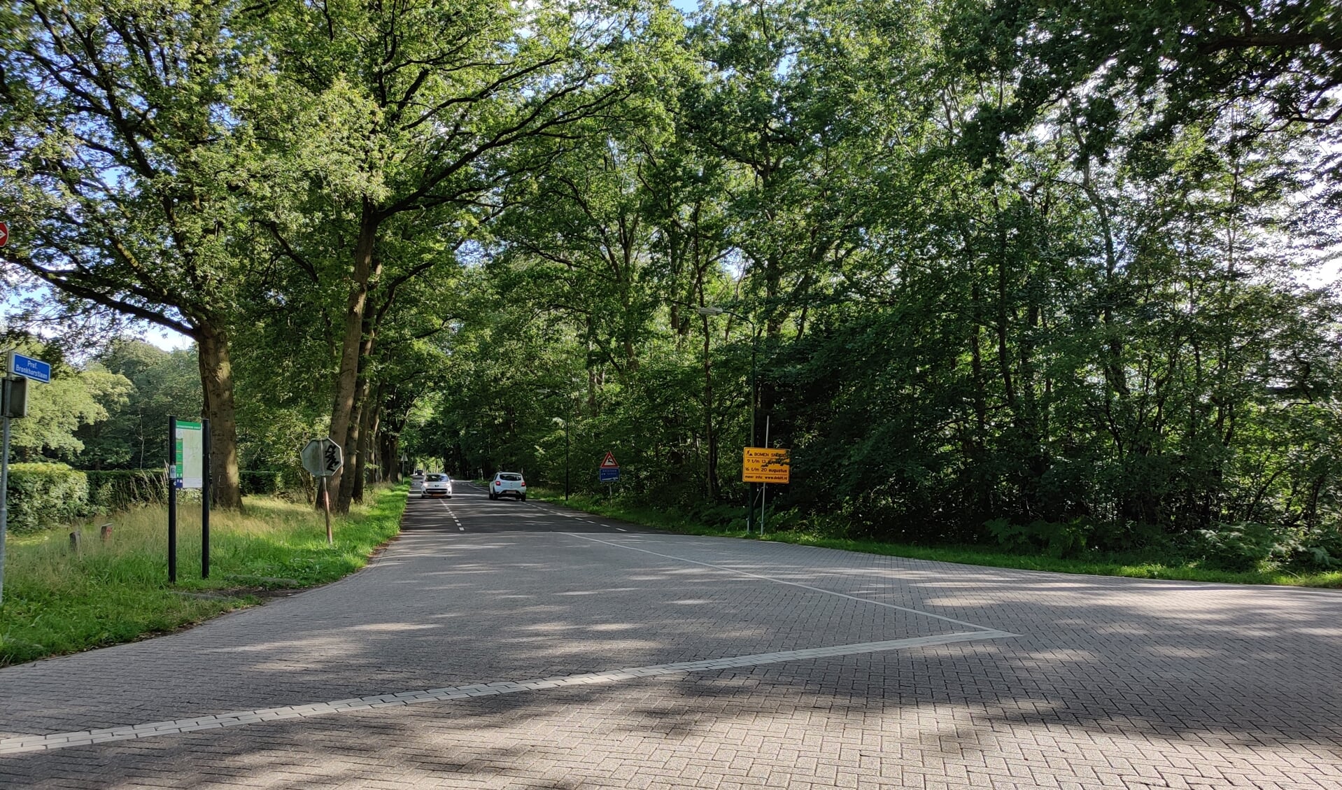 Snoeiwerkzaamheden In Bilthoven De Vierklank Al Het Nieuws Uit De