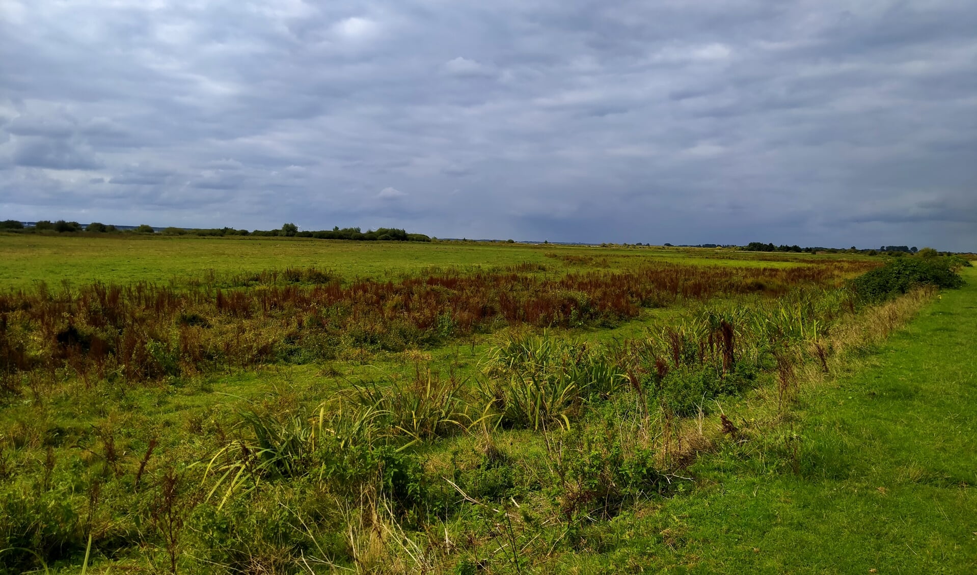 Ontdek Je Plekje In Nissewaard Adverteren Nissewaard Groot