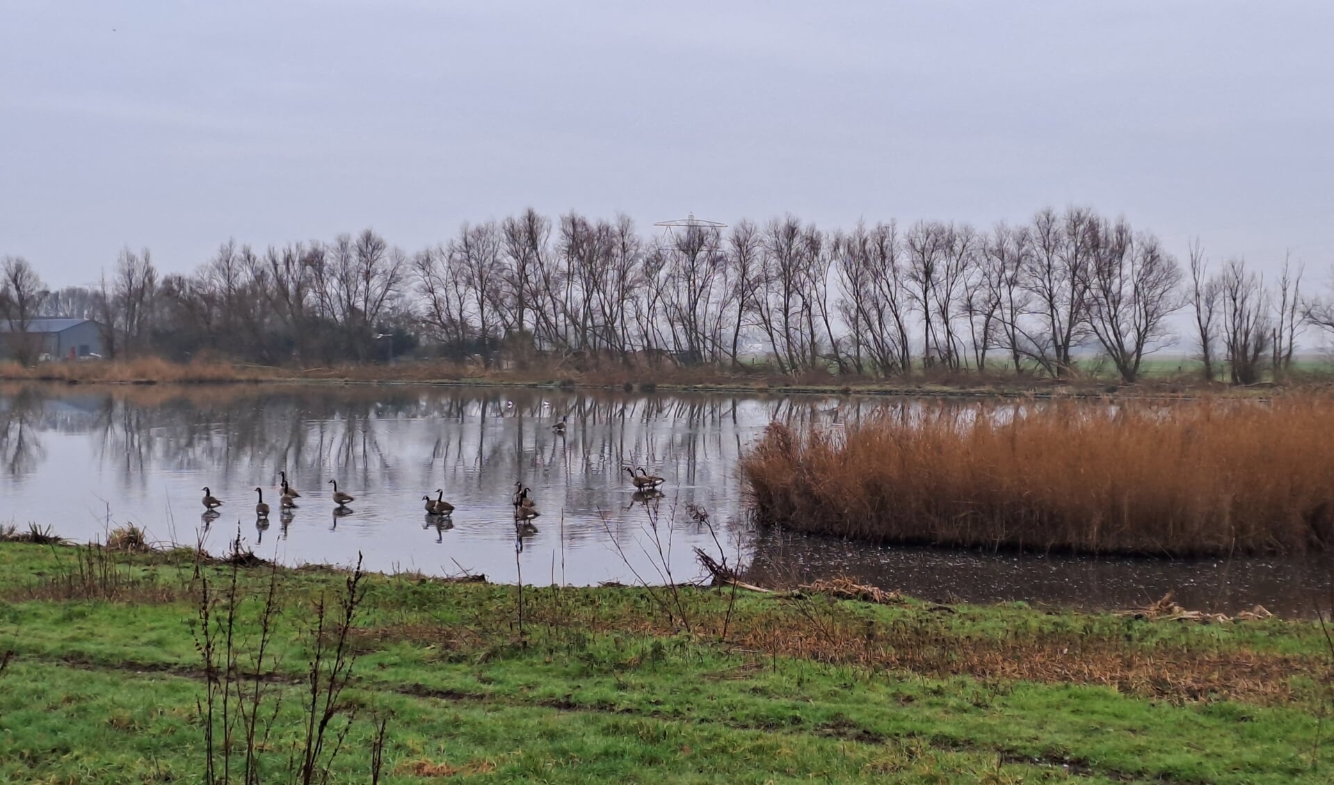 Ontdek Je Plekje In Nissewaard Adverteren Nissewaard Groot