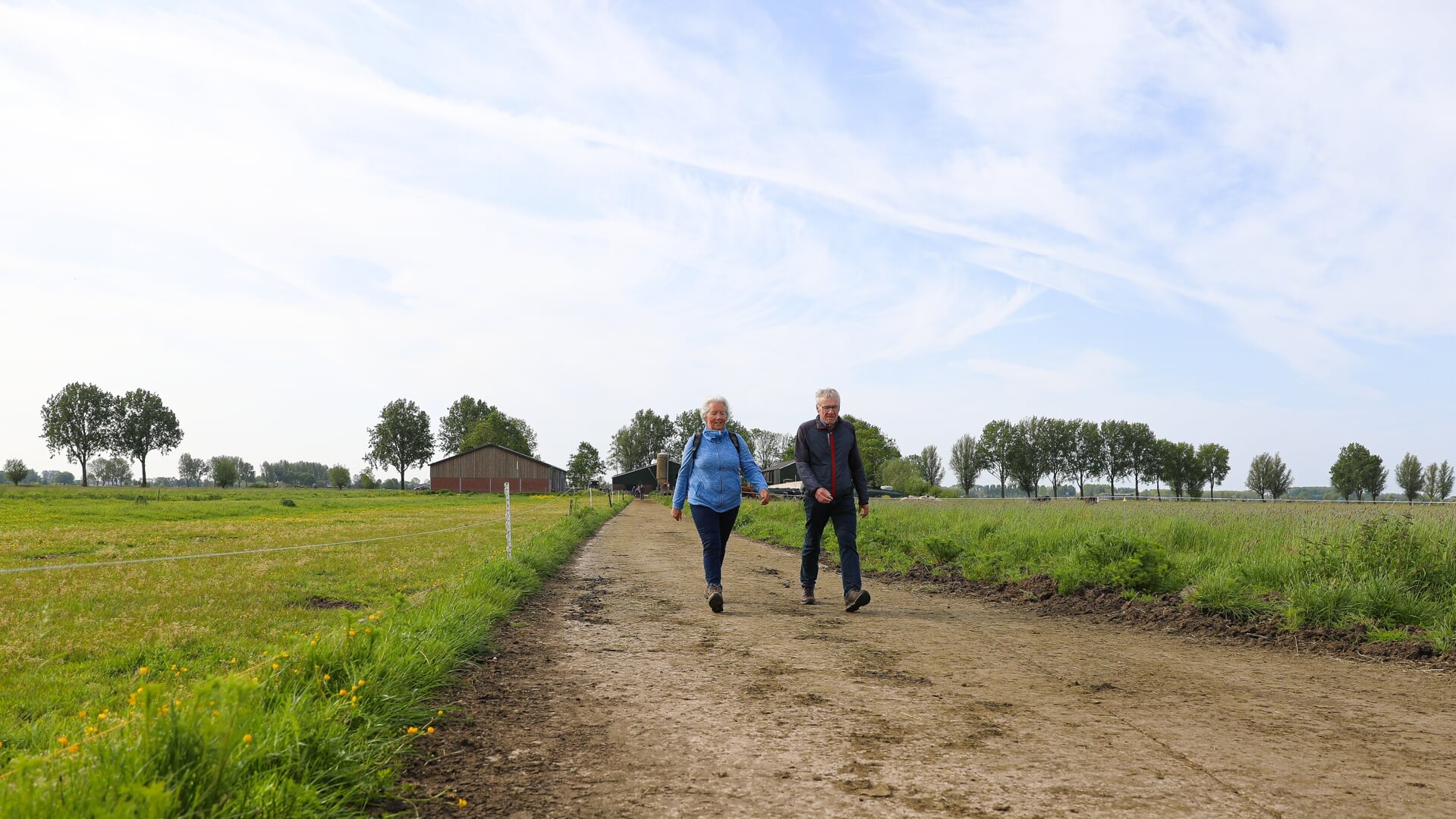 Vierdaagse Alblasserwaard Van Start Met Meer Deelnemers Dan Vorig Jaar