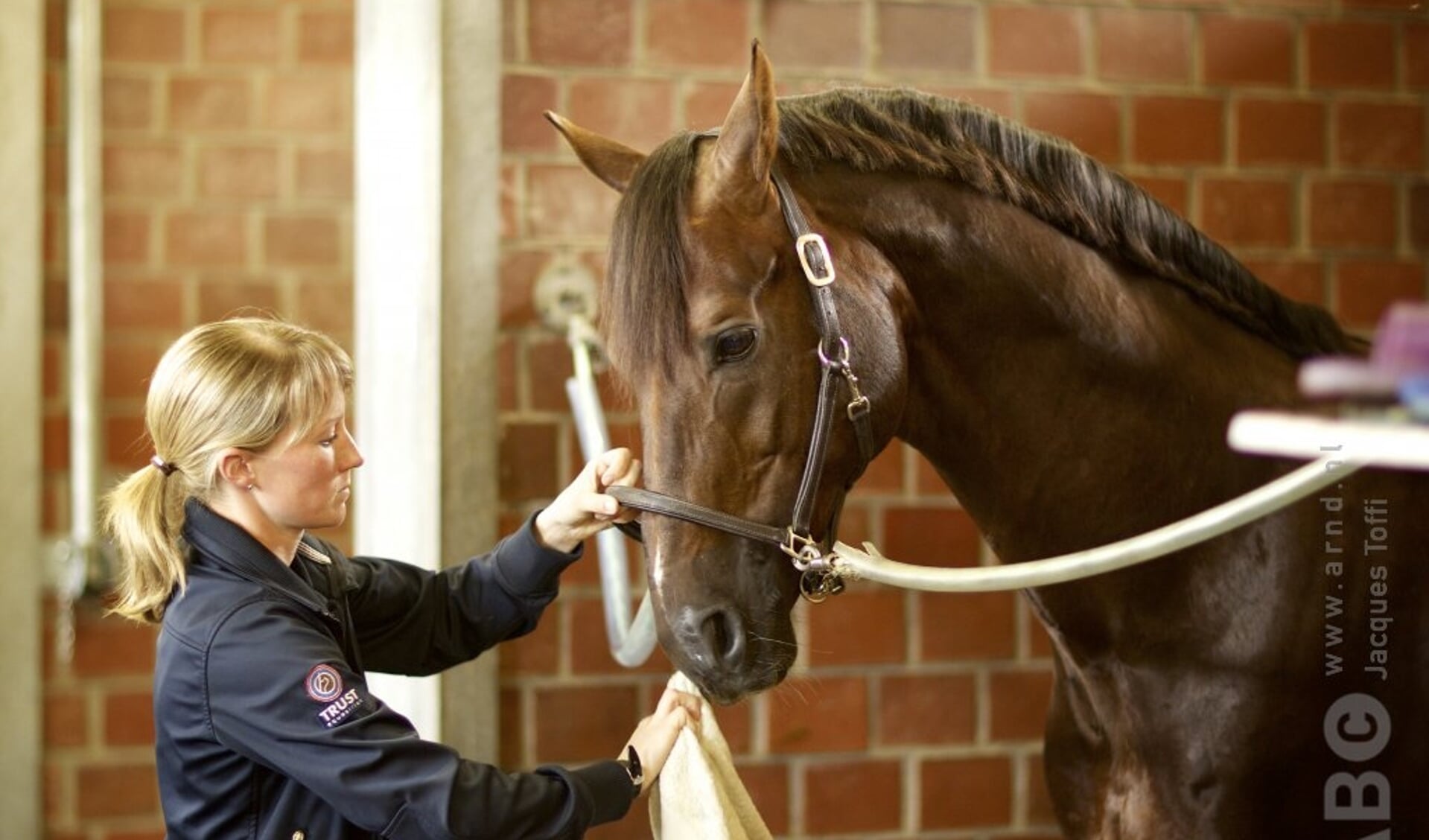 Manieren Om Babydoekjes Te Gebruiken Bij Je Paard Bit Cap