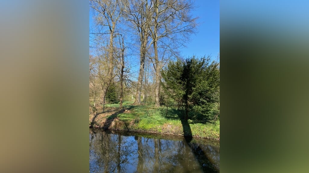 Herinnering en troost bij de Herinneringsboom in Egmond-Binnen