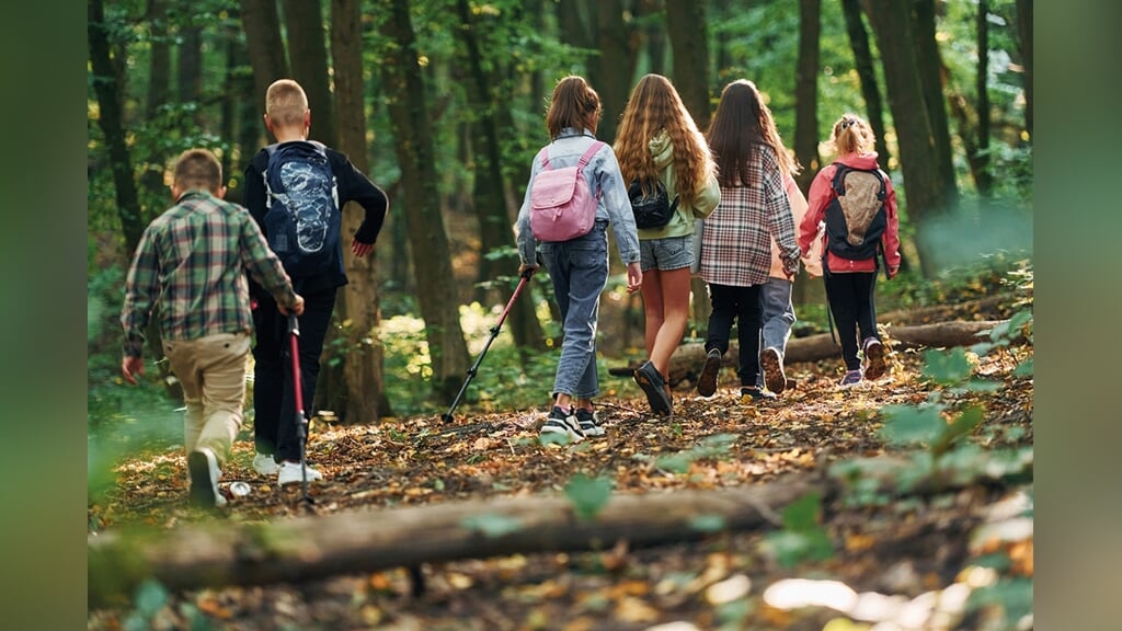 Gratis Puzzeltocht in de herfstvakantie in het Amsterdamse Bos