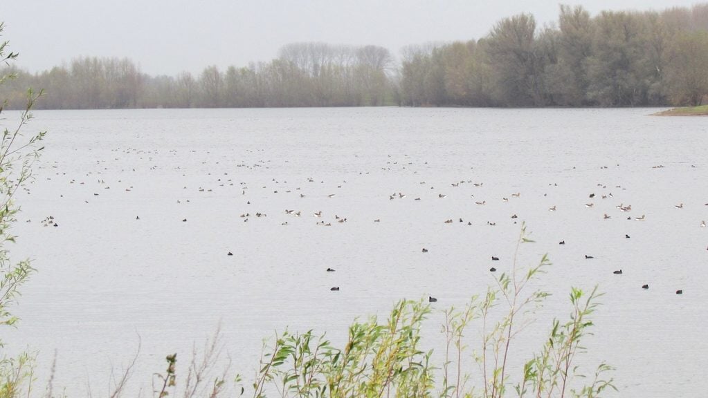 IVN excursie: Zijn de wintergasten al vertrokken?