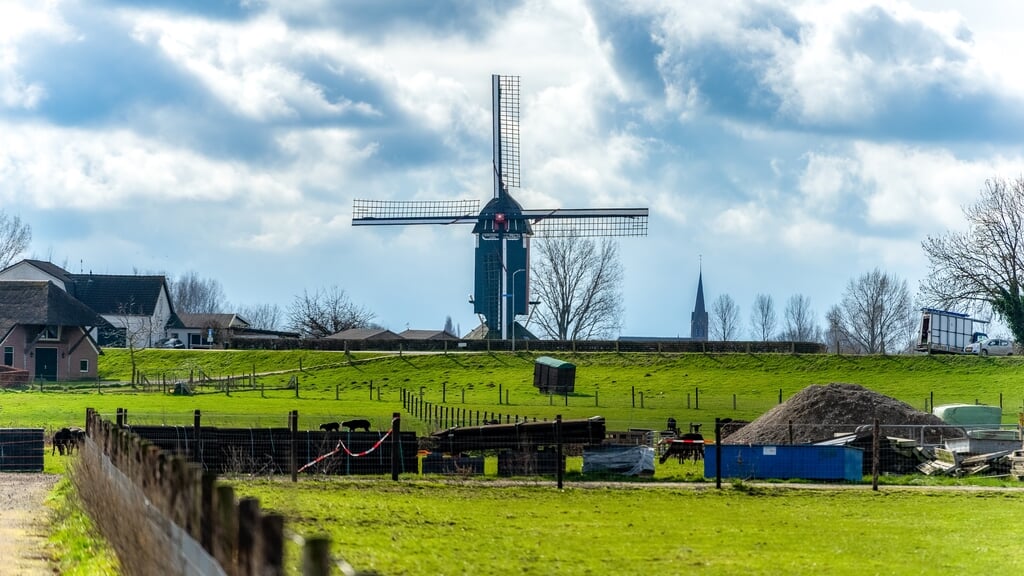 Open Maas en Waalse Molendag