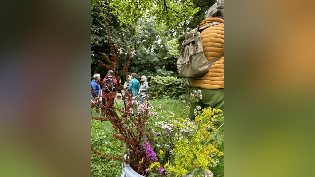 Wildplukken tussen Wiel en Waal