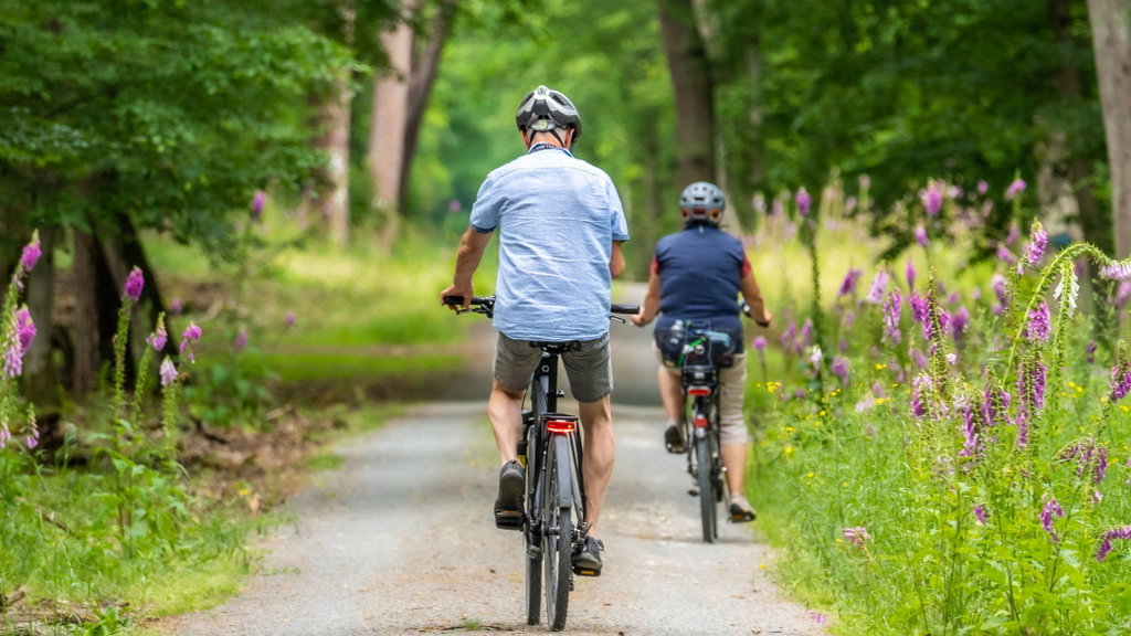 Digiworkshop Lekker op pad met de Fietsknoop-app