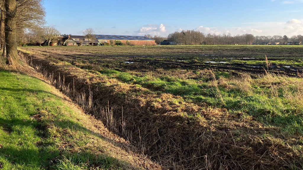 Het nu nog braakliggende terrein aan de Engellandweg.