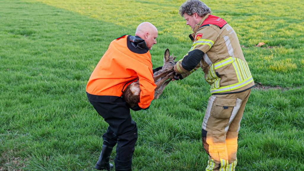 Marcel van Saltbommel