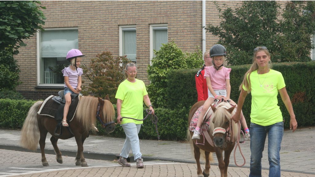 ponyfeest in het Kolkland.