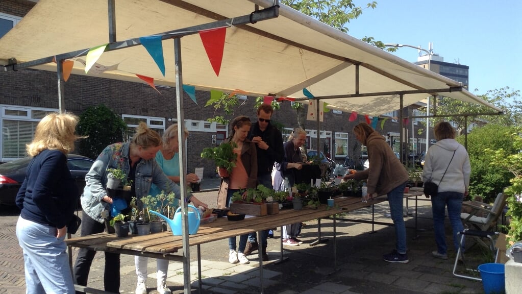 Stekkendag Gouwstraat in Haarlem