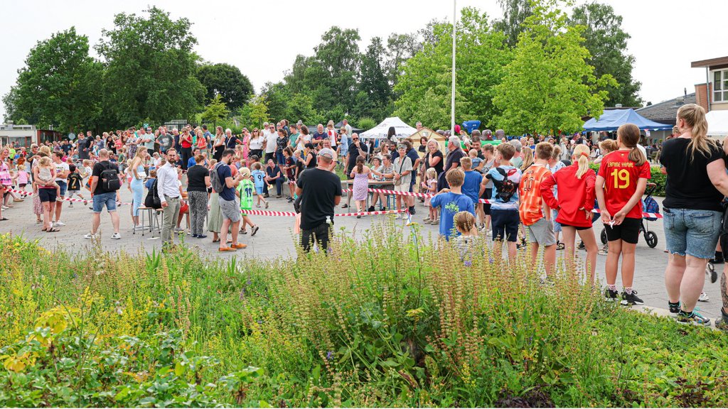 het zomerfeest op OBS De Tweemaster