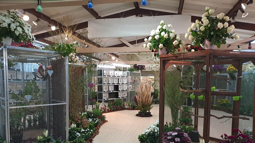 Jaarlijkse Maaslandse vogelshow