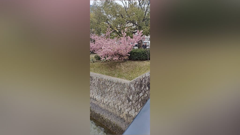 Kleurrijk Vrouwen Gilde geeft een lezing over Japan in De Blinkerd Schoorl