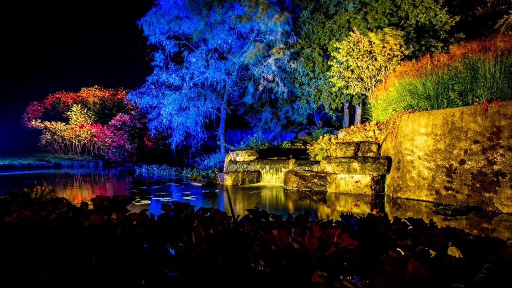 Enchanted Gardens