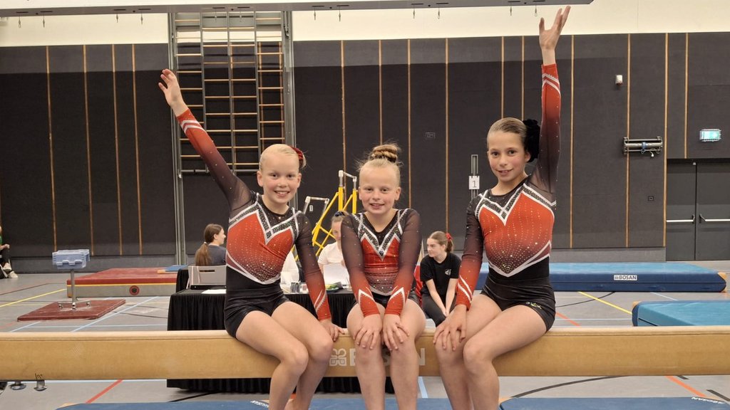 Turnsters van Gymnastiekvereniging Nieuwleusen. Eigen foto GVN.
