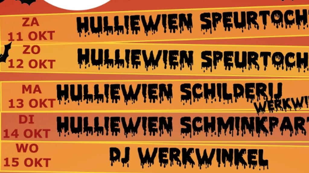 Hulliewien speurtocht