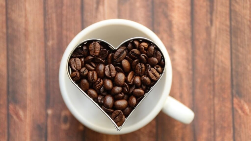 Koffieochtend over de Griendhout, georganiseerd door Senioren HDL