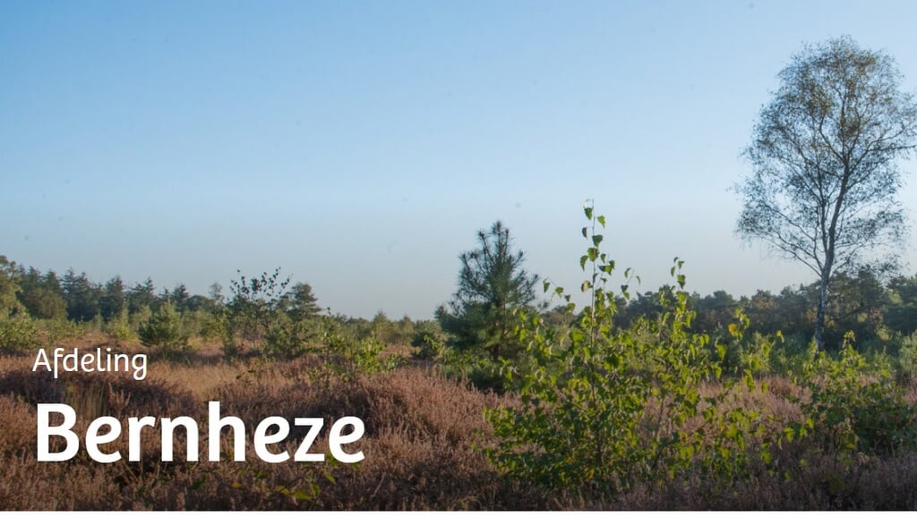 Samen aan de slag voor een groener Bernheze