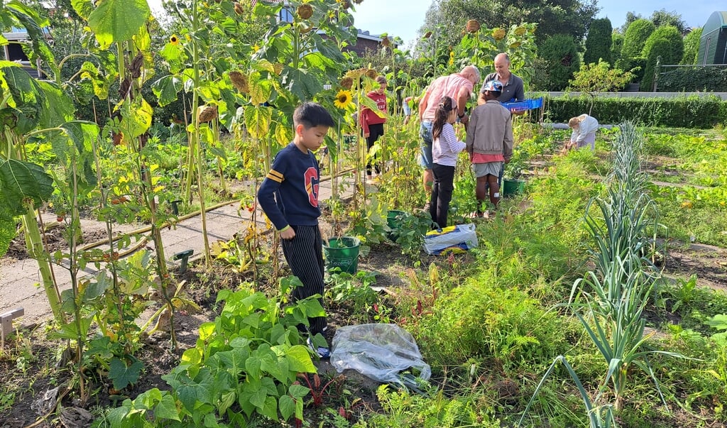 Laat je kinderen 6-12 jaar beginnen met tuinieren