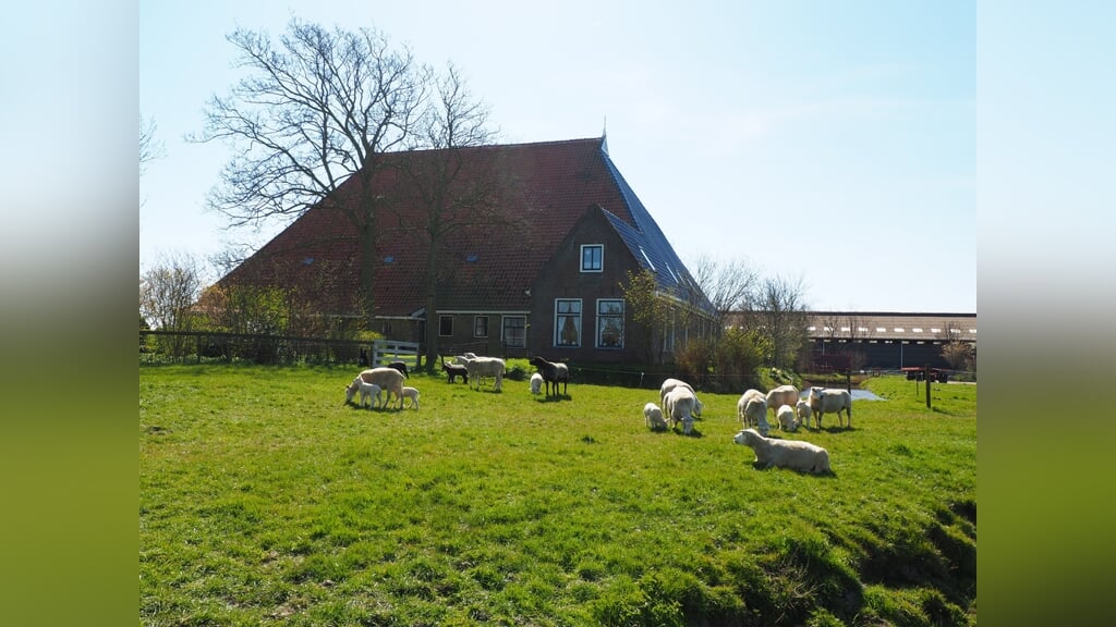 Excursie naar boerderij ‘op Arkum’