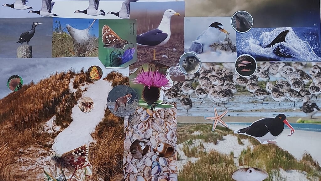 Biodiverse collages maken in Natuurcentrum