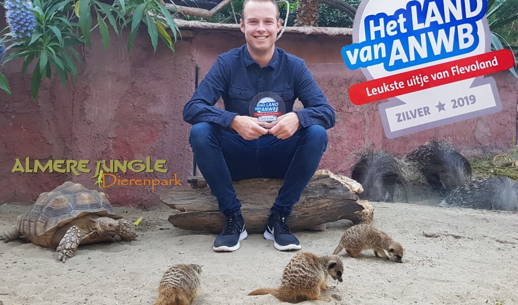 Afbeelding
