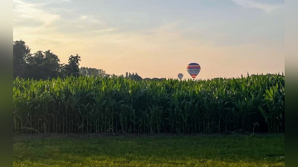 Ontdek het Maisdoolhof bij Zorg- en Belevenisboerderij De Groenerie Harskamp