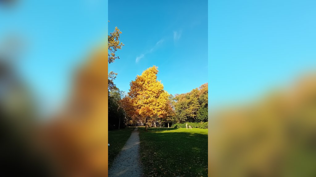 Parkenrondleiding Tropische Kas Beetsterzwaag