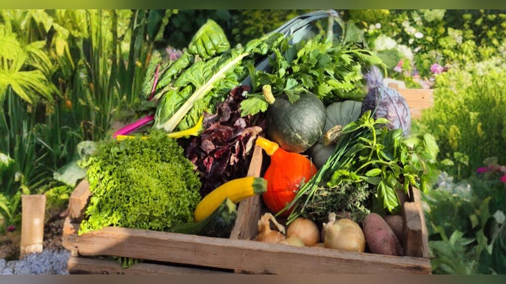 Wil je ook vers eten van je eigen boerderij?