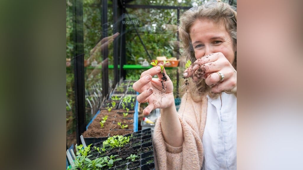 Inspiratieavond moestuinieren voor iedereen