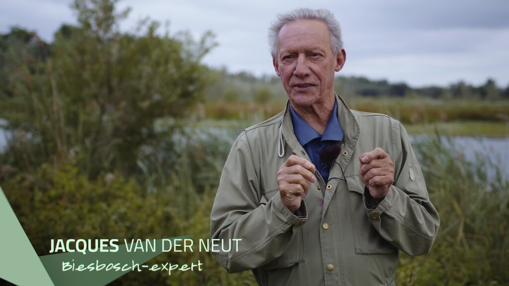De Biesbosch en WALL-E op groot doek bij IFFG Klimaatspecial Hardinxveld-Giessendam 271025