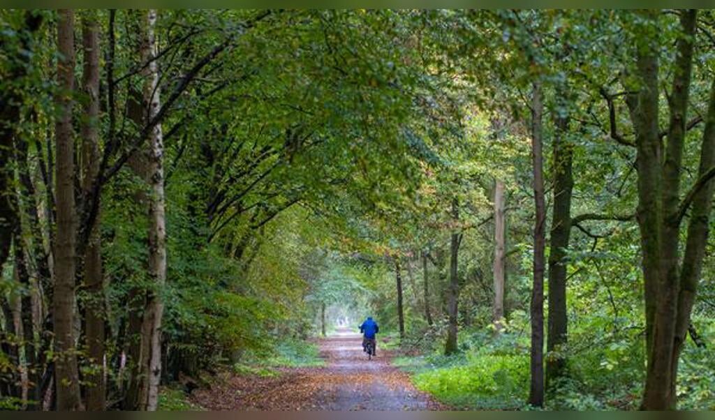 Groei & Bloei - Wandel excursie Waterwinbossen Sint Jansteen
