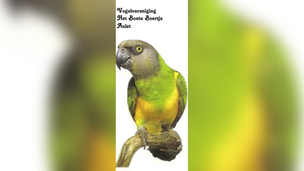 Vogelshow Het Bonte Boertje