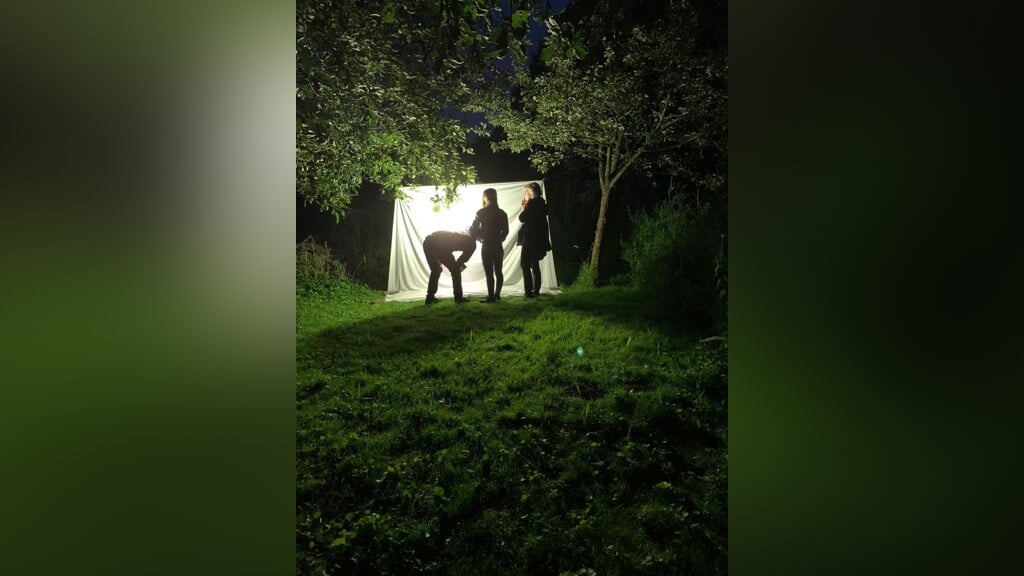 Steltkluut - Nachtvlinderen bij Ossenisse
