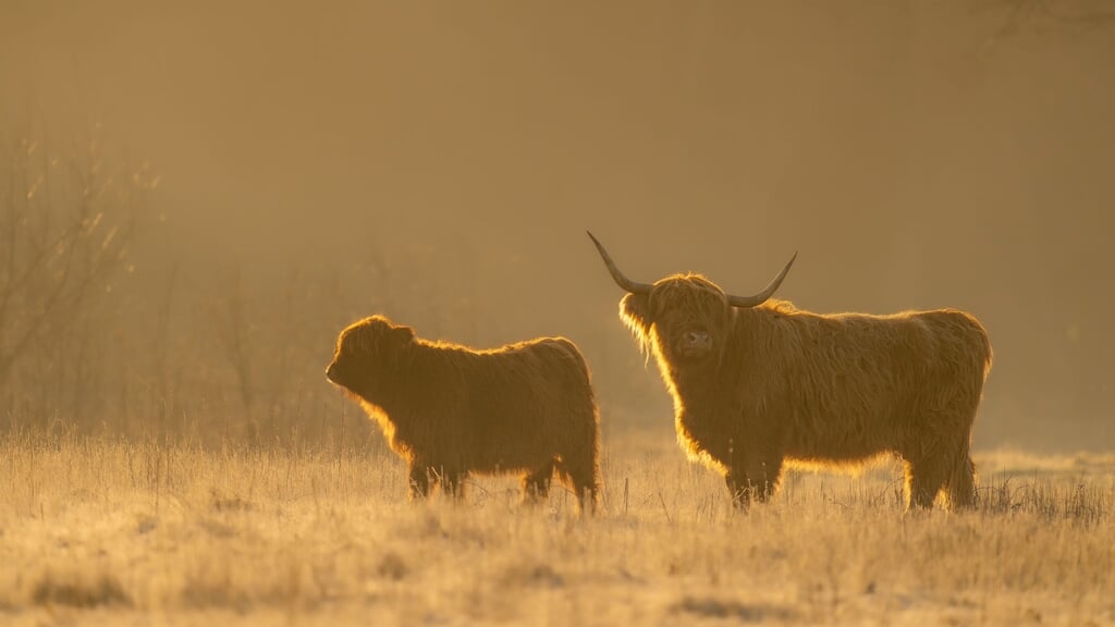 Ga mee op avontuur op natuureiland Tiengemeten!