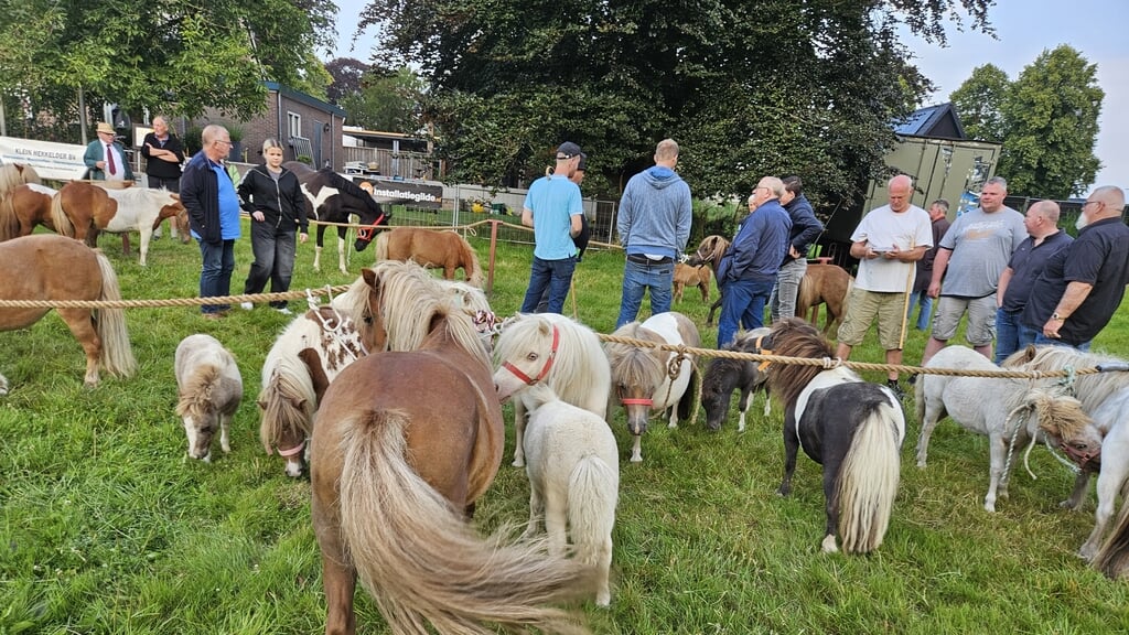 30.000 bezoekers verwacht op Loense Moandag