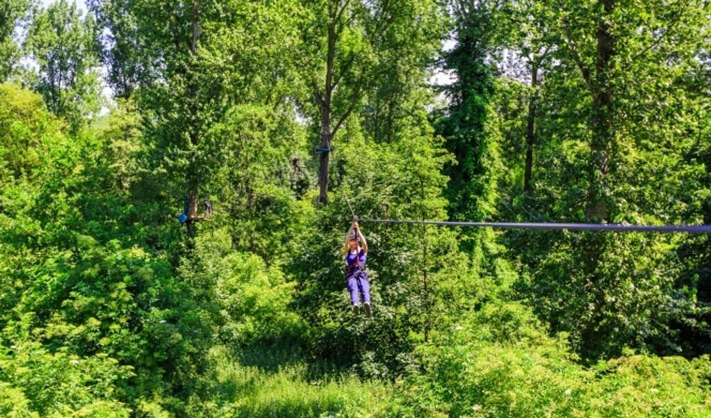 Ook Fun Forest is genomineerd. (Foto: aangeleverd)