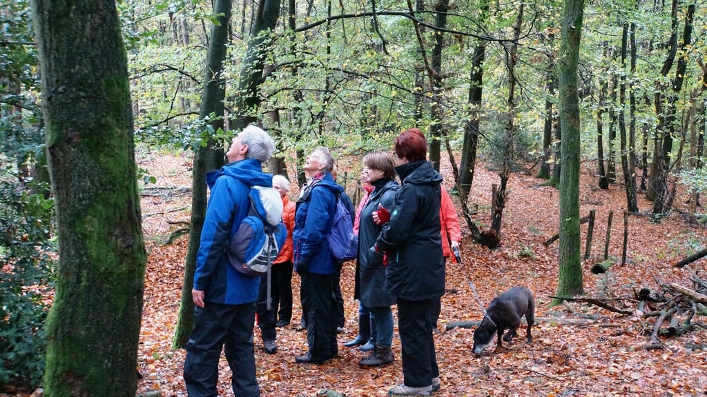 IVN wandeling Verborgen bosgeheimen