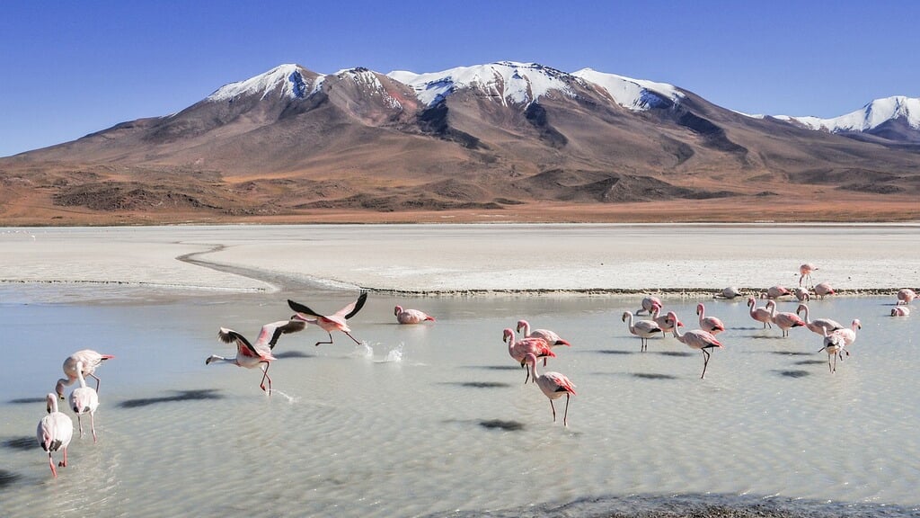 Martin Idema bij Vrouwen van Nu