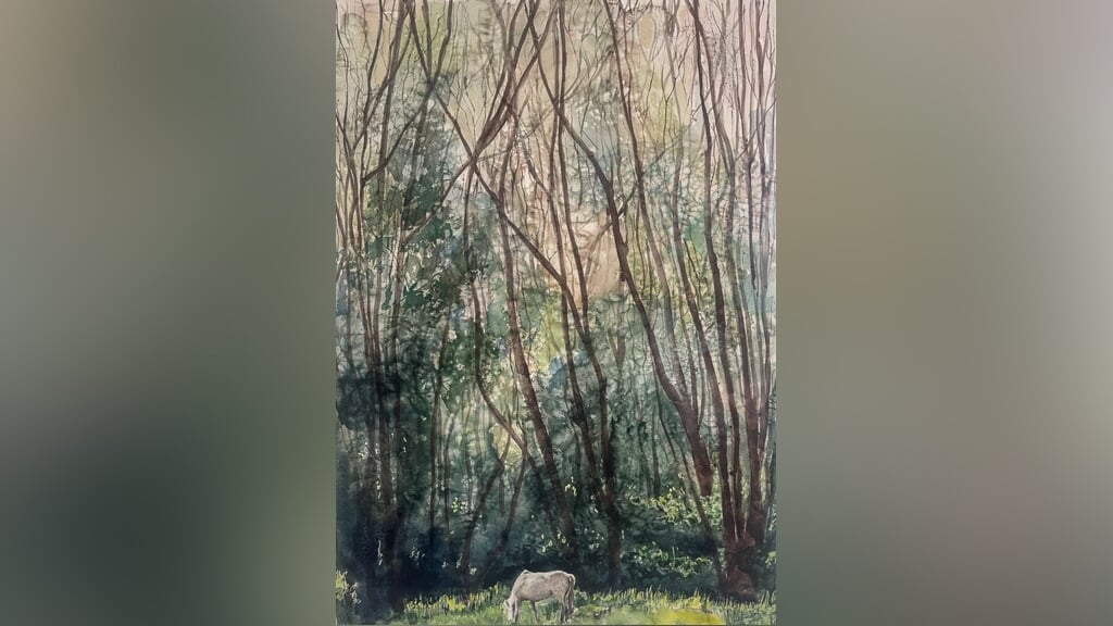 Tentoonstelling ‘Het randje van de wereld’