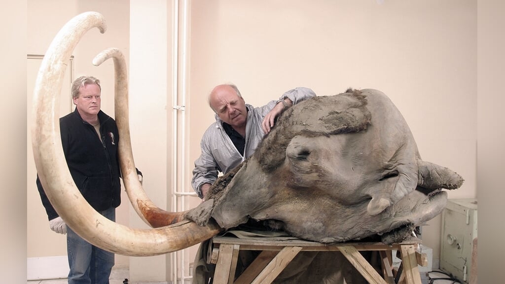 Lezing ‘De Noordzee als schatkamer’