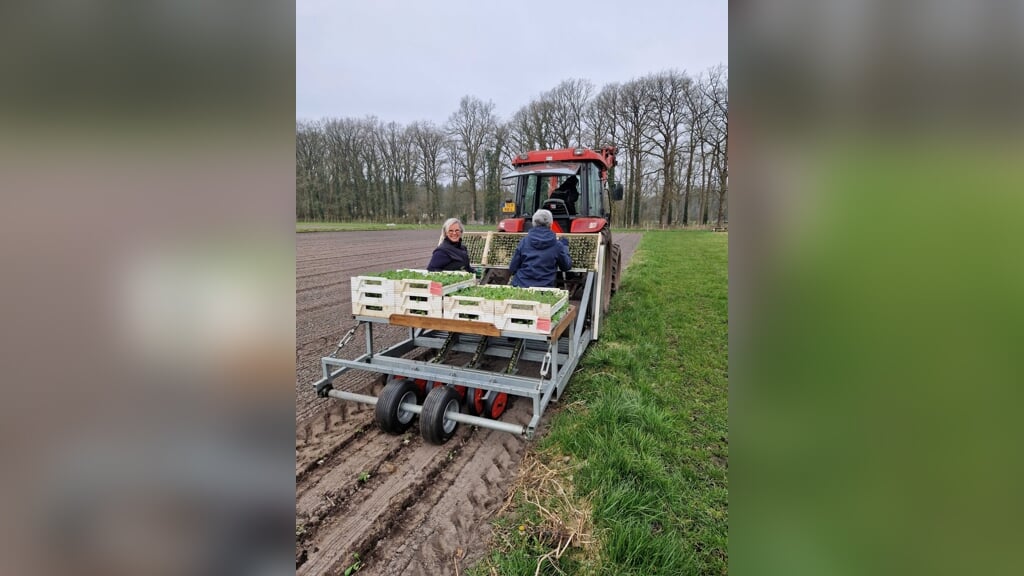 Kweek uw eigen groente op Herenboerderij De Groote Modderkolk - Al het ...