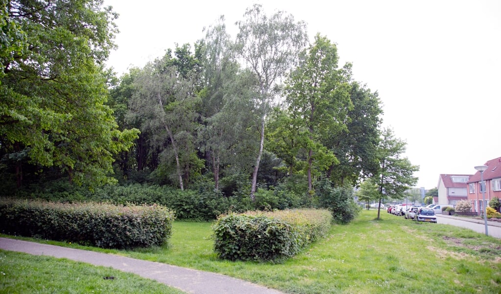 Het stuk bosperceel waar het appartement Leeghwaterhof moet komen. (Foto: Fred Rotgans)